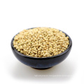 Yellow white broom corn millet for bird seeds